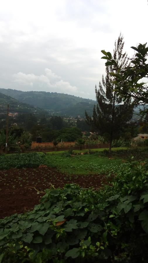 White Horse Inn Kabale Экстерьер фото